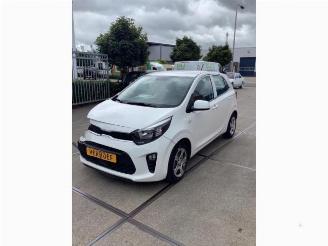 Autoverwertung Kia Picanto Picanto (JA), Hatchback, 2017 1.0 DPi 12V 2022/12