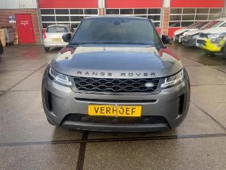 Autoverwertung Land Rover Range Rover Range Rover Evoque II (LZC/LZS/LZH), SUV, 2018 2.0 P250 MHEV 16V AWD 2019/4