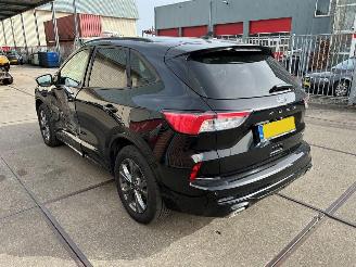 Ford Kuga  picture 5