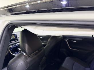 Toyota Rav-4 2.5 VVT-i Hybrid Style Pano/Clima picture 14