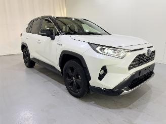Toyota Rav-4 2.5 VVT-i Hybrid Style Pano/Clima picture 20