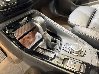 BMW X1 25e PHEV M Sport xDrive Aut picture 34