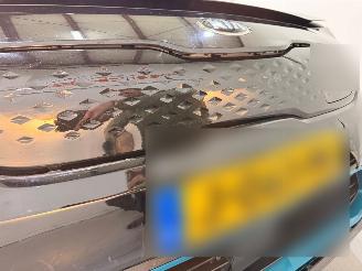 Kia e-Niro DynamicLine 64kWh picture 15