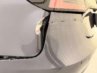 Tesla Model 3 Standard Range Plus 225kW picture 59