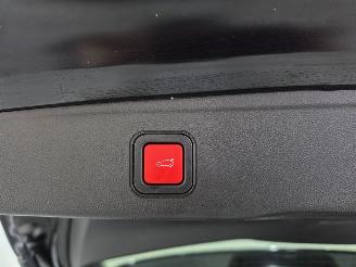 Jeep Avenger 1st Edition Sfeerverlichting Bjr.2023 picture 20