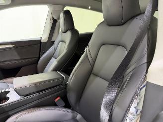 Tesla Model Y Maximum Range / Premium picture 18