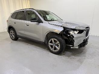 BMW X1 25e PHEV xDrive Aut7 Pano picture 29