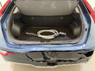 Kia Niro EV DynamicLine 64.8kWh picture 12