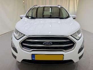 Ford EcoSport 1.0 EcoBoost Trend Ultimate picture 31