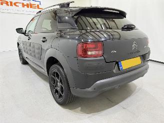 Citroën C4 cactus 1.2 PureTech 82 Business Plus picture 27