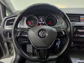 Volkswagen Golf VII 1.6 TDI Trendline 81Kw picture 14