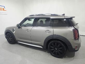 Mini Countryman COOPER SE ALL4 Chili Aut Pano 100.Kw picture 29