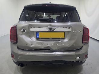 Mini Countryman COOPER SE ALL4 Chili Aut Pano 100.Kw picture 13
