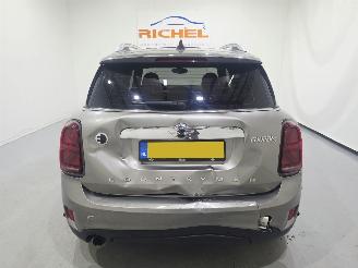 Mini Countryman COOPER SE ALL4 Chili Aut Pano 100.Kw picture 6