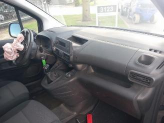 Opel Combo Combo Cargo, Van, 2018 1.6 CDTI 100 picture 10