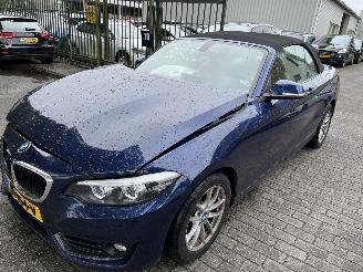 begagnad bil auto BMW 2-serie 218i  Automaat Cabriolet 2018/1