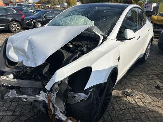 skadebil auto Tesla Model Y Standard Range RWD 2023/12