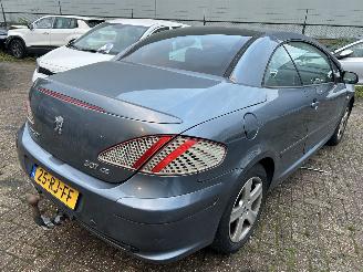 Peugeot 307 Cabriolet 2.0-16V picture 4