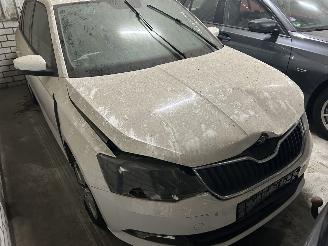 Skoda Fabia 1.4 TDI  Stationcar picture 3