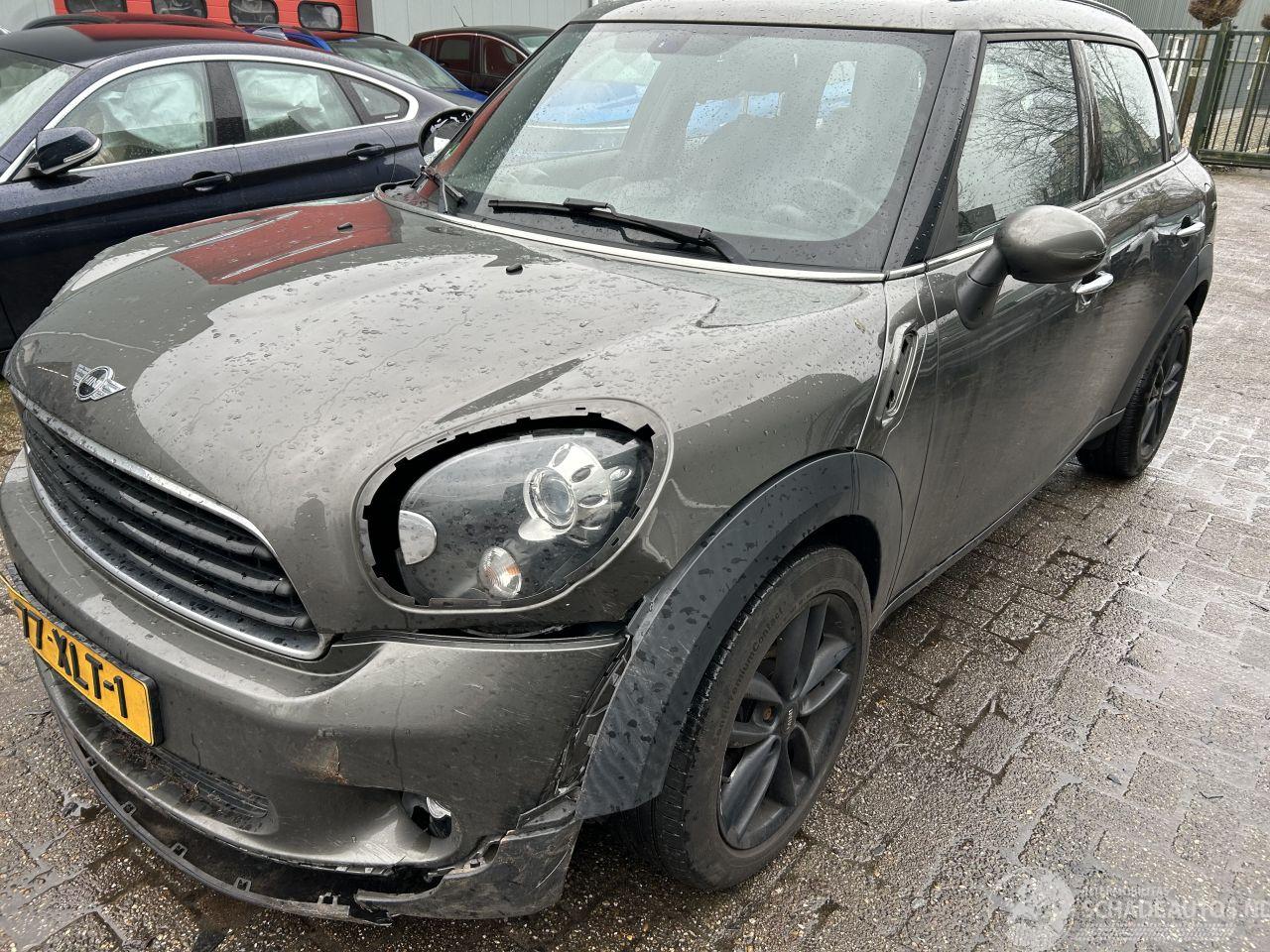 Mini Countryman 1.6 One Edition  ( Panoramadak )