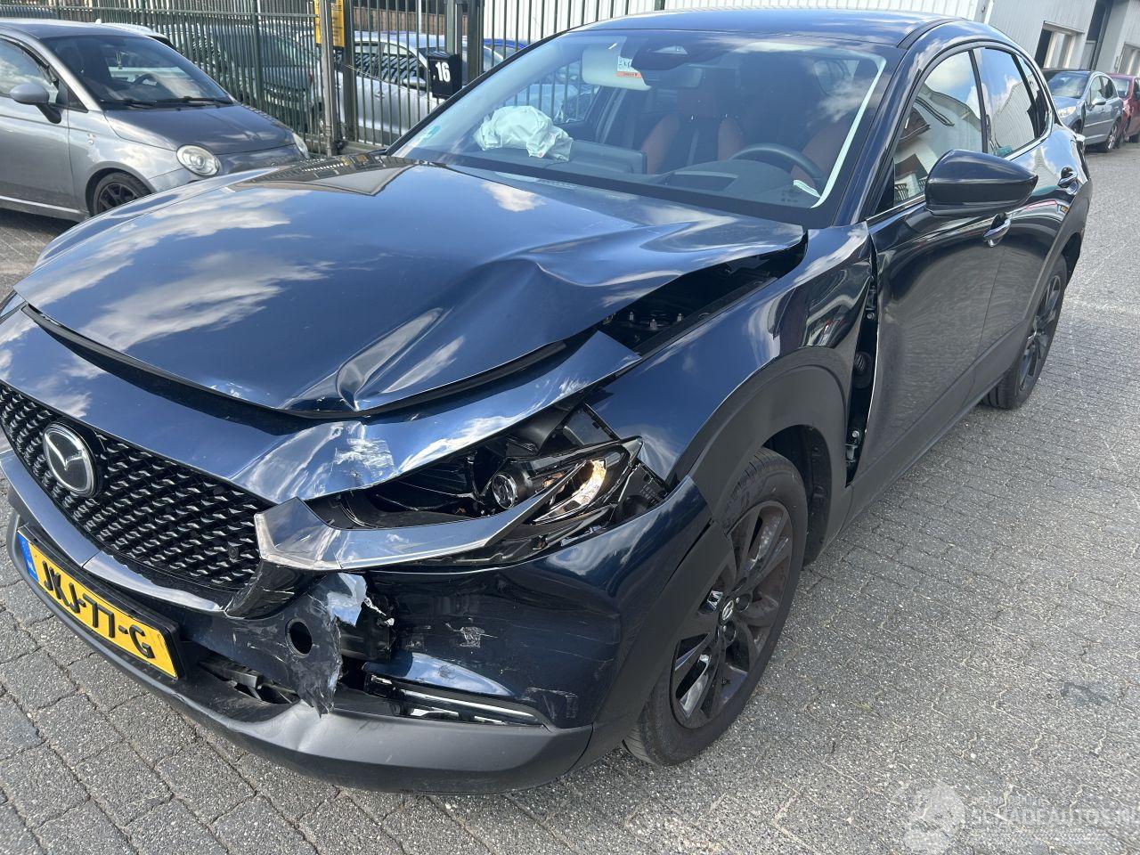 Mazda CX-30 2.5  eSkyActive -G Nagisa     ( 15617 Km )