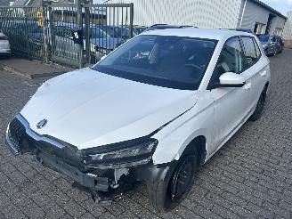 skadebil auto Skoda Fabia 1.0 TSI 2025/11