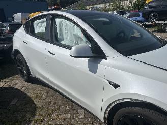 Tesla Model Y Bev Rear-Wheel Drive picture 5