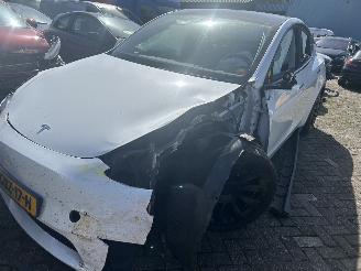 skadebil auto Tesla Model Y Bev Rear-Wheel Drive 2024/6