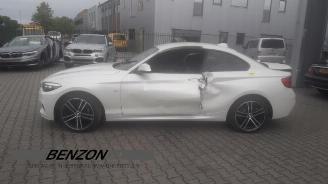 BMW 2-serie 2 serie (F22/F87), Coupe, 2013 / 2021 218d 2.0 16V picture 2