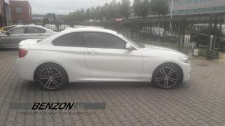 BMW 2-serie 2 serie (F22/F87), Coupe, 2013 / 2021 218d 2.0 16V picture 4