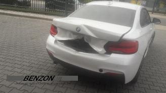 BMW 2-serie 2 serie (F22/F87), Coupe, 2013 / 2021 218d 2.0 16V picture 3