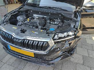 Skoda Karoq 1.5 TSI Sportline Aut. picture 19
