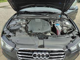 Audi A5 SPORTBACK 1.8 TFSI S-line Aut. picture 33