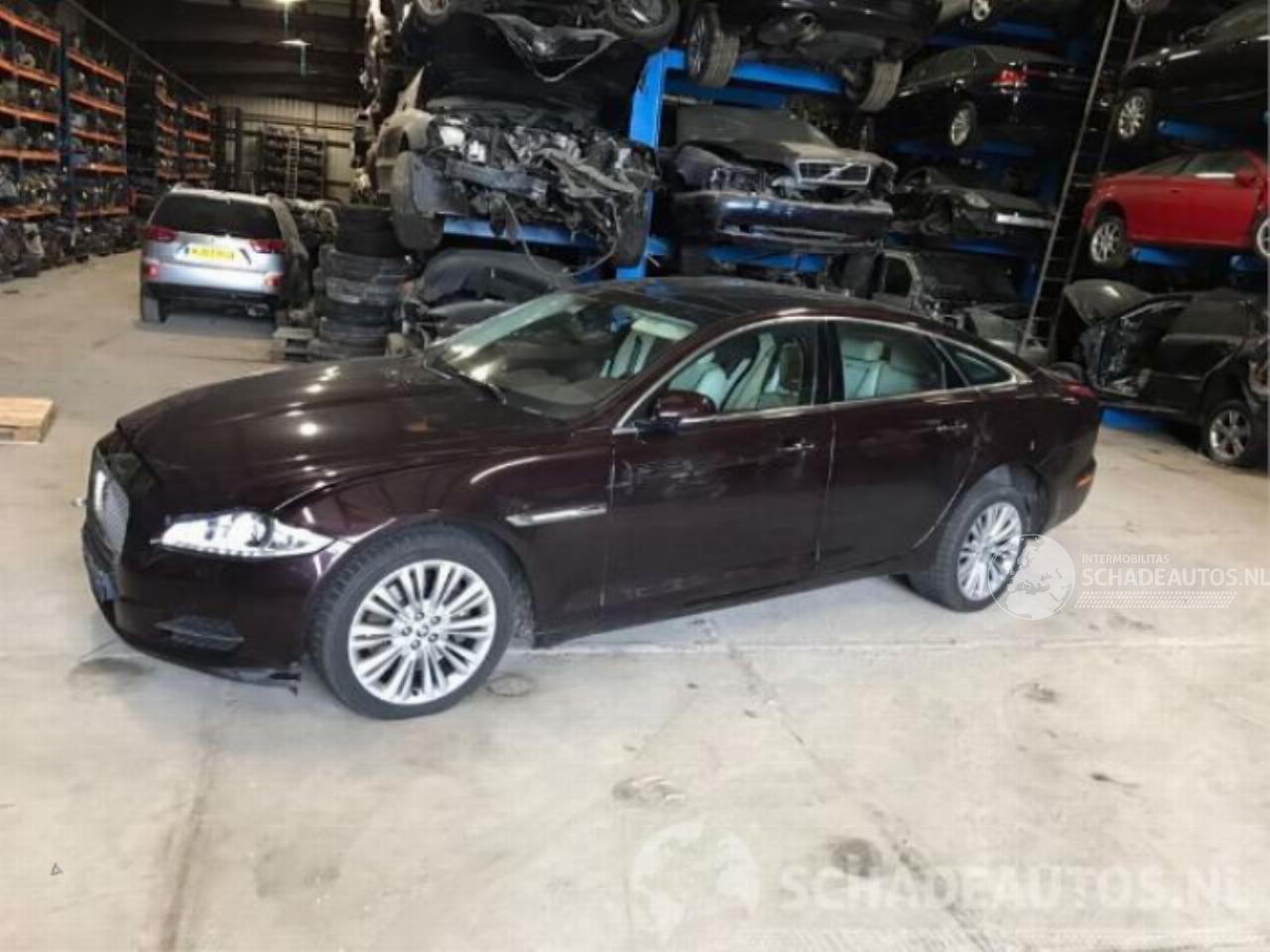 Jaguar XJ XJ (X351), Sedan, 2009 3.0 D V6 24V