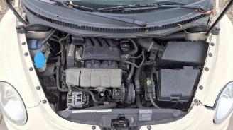 Volkswagen Beetle New Beetle (1Y7), Cabrio, 2002 / 2010 2.0 picture 11