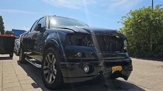  Ford USA F-150 F-150, Pick-up, 2003 / 2008 5.4 V8 4x4 2006/5