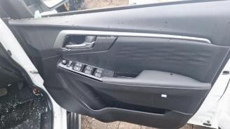 Isuzu D-Max D-Max (TFR/TFS), Pick-up, 2019 1.9 DDI 4x4 picture 15