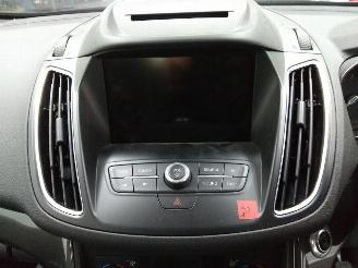 Ford Grand C-Max  picture 16