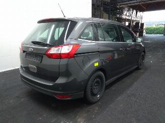 Ford Grand C-Max  picture 6