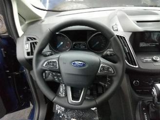 Ford Grand C-Max  picture 15