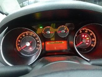 Fiat Punto Evo  picture 23