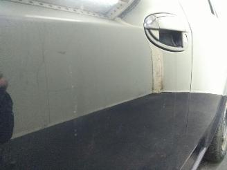 Fiat Punto Evo  picture 17