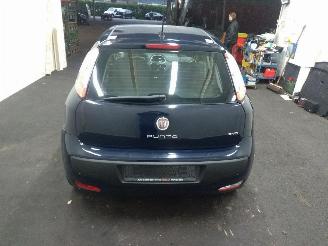 Fiat Punto Evo  picture 5