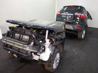 Ford EcoSport  picture 11