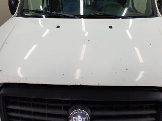 Fiat Doblo  picture 64