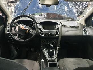 Ford Focus  picture 5