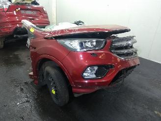 Coche accidentado Ford Kuga  2019/1