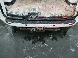 Ford Custom L1H1 picture 32
