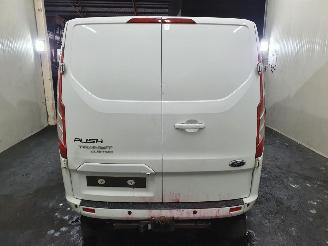 Ford Custom L1H1 picture 5