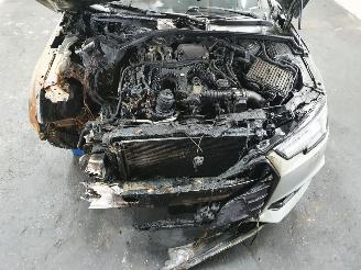 Audi A4 8W 3.0 TDI Quattro picture 22